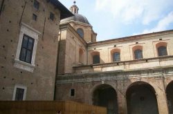 urbino5